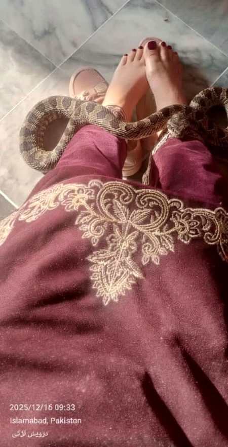 یہاں زہریلے تو سبھی ہے
بسس ڈسنے کا طریقہ الگ ہوتا ہے