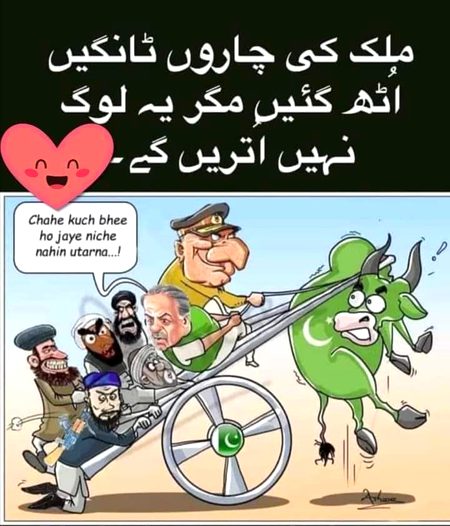 Memes & Satire image