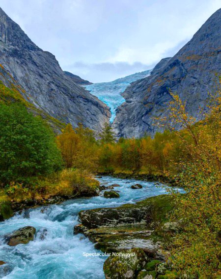 Beautiful Nature image