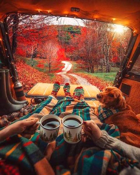 May there be such a place and may I have a beautiful wife with me 😊🌸❤