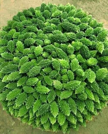 Beautiful Nature image