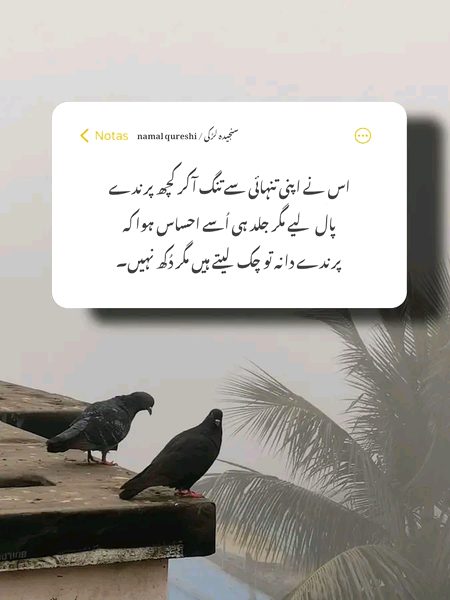 پرندوں سے دل کی بات کہو.....!