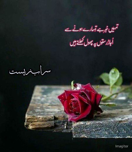 Saanaam ❣️❣️ sch m blkl