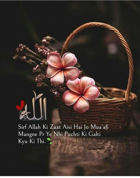 Islamic Quotes image