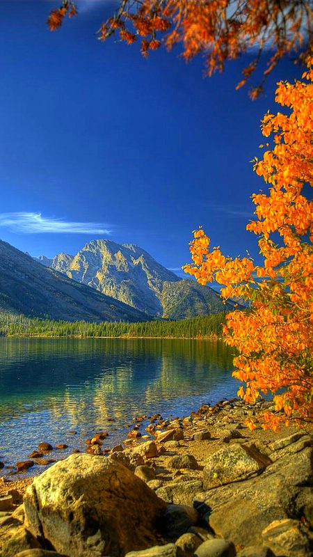 Beautiful Nature image