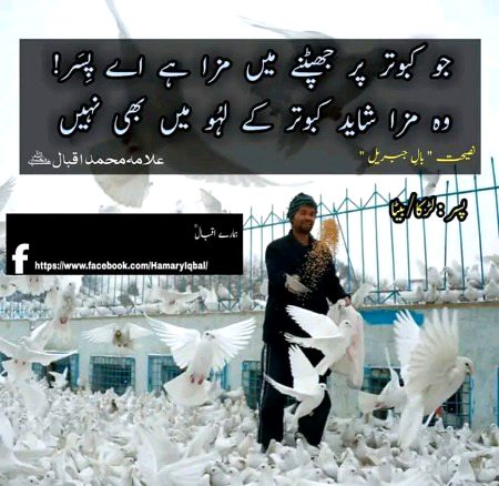 Attitude Poetry image