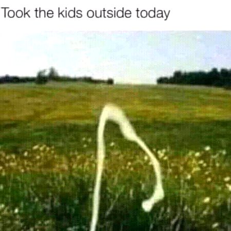 kids ⊙_⊙