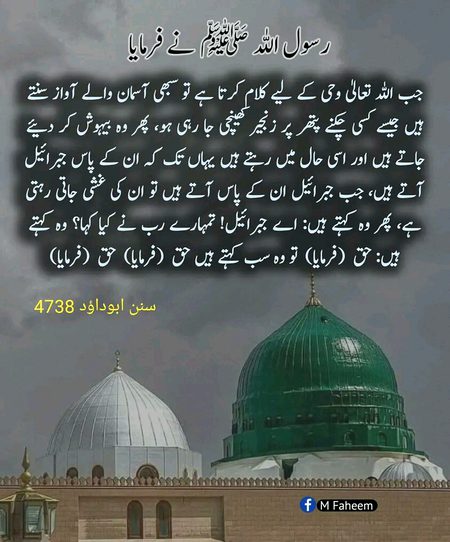 Islamic Quotes image