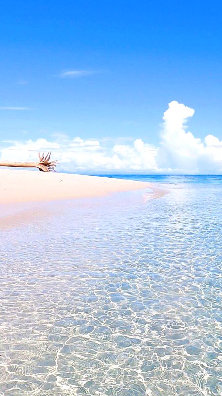 Beautiful Nature image