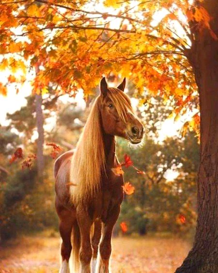 Beautiful Nature image