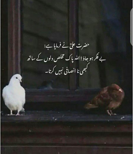 Motivational Quotes image