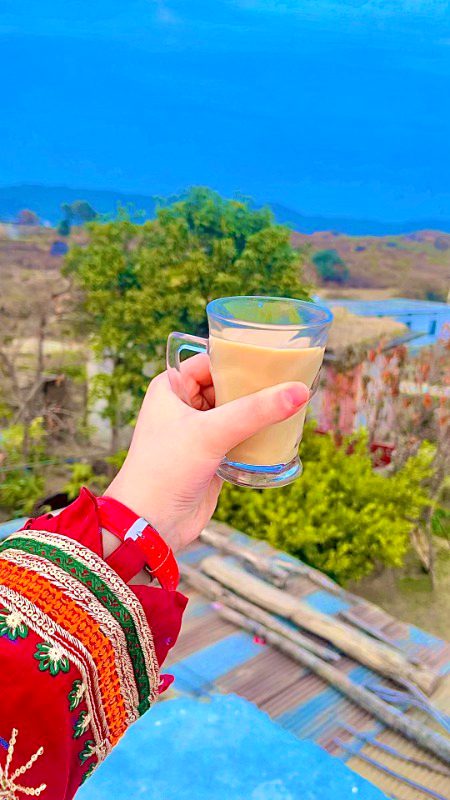 Beautiful Nature image