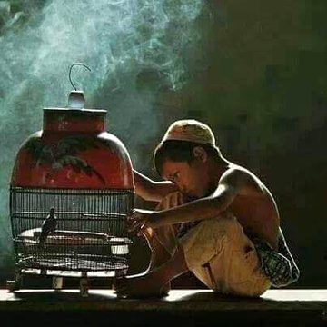 میری بے چینی میرے عشق کو برباد نہ کر دے 
پھڑ پھڑاتا بھی نہیں ہوں کے وہ آذاد نہ کر دے