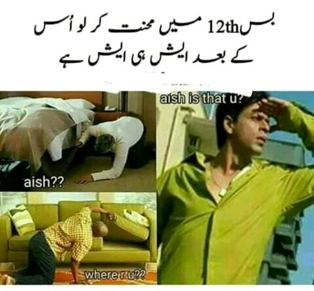 Memes & Satire image