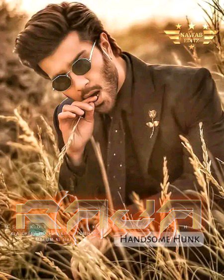 Pakistani Celebs image