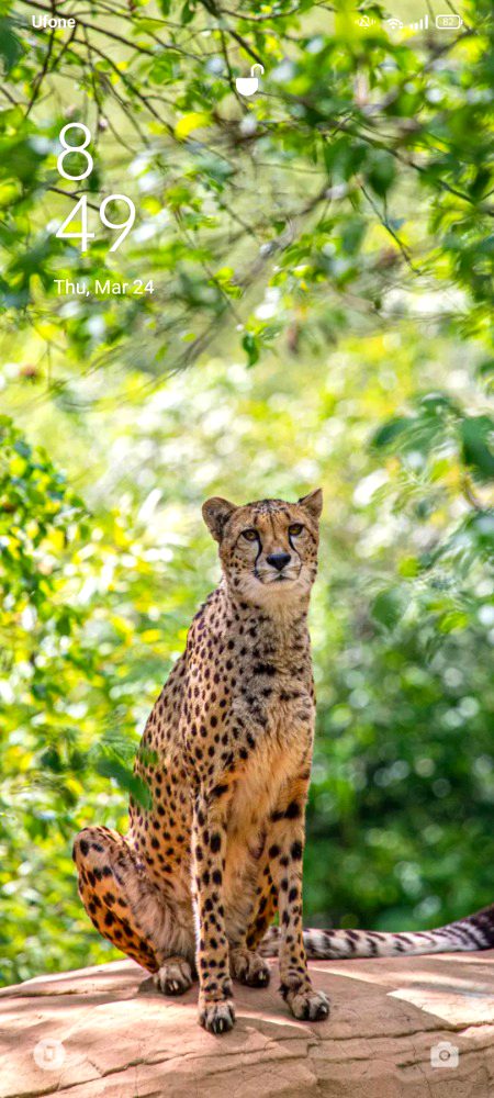 Beautiful Nature image