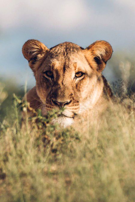 Beautiful Nature image