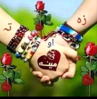 ہماری محبت.n1کوسیاست لےڈوبےگی.r6میں ن لیگی.n1اوروہ دیوانہ کپتان کا.i5.g5ا