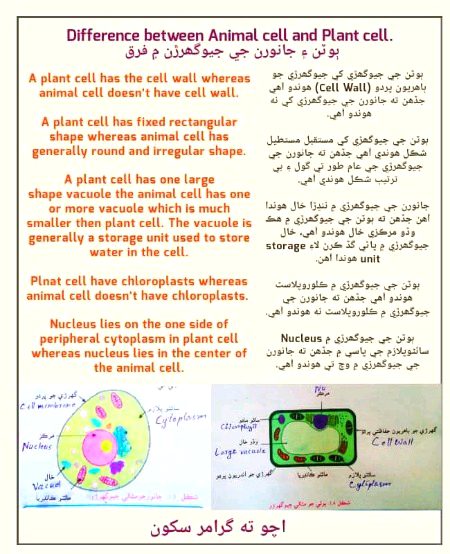 Tips for Students image