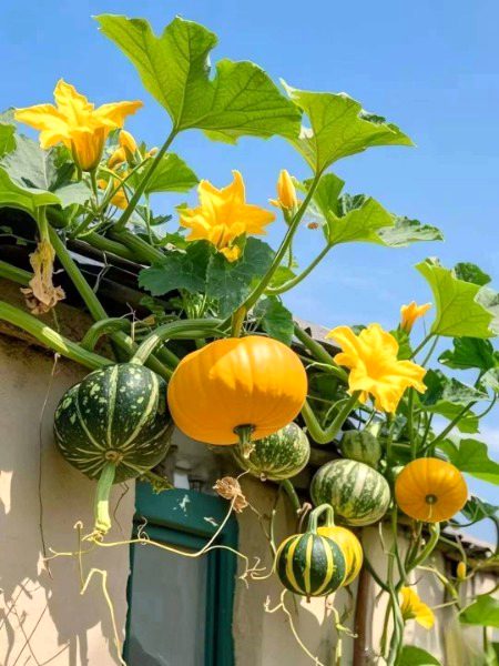 Beautiful Nature image