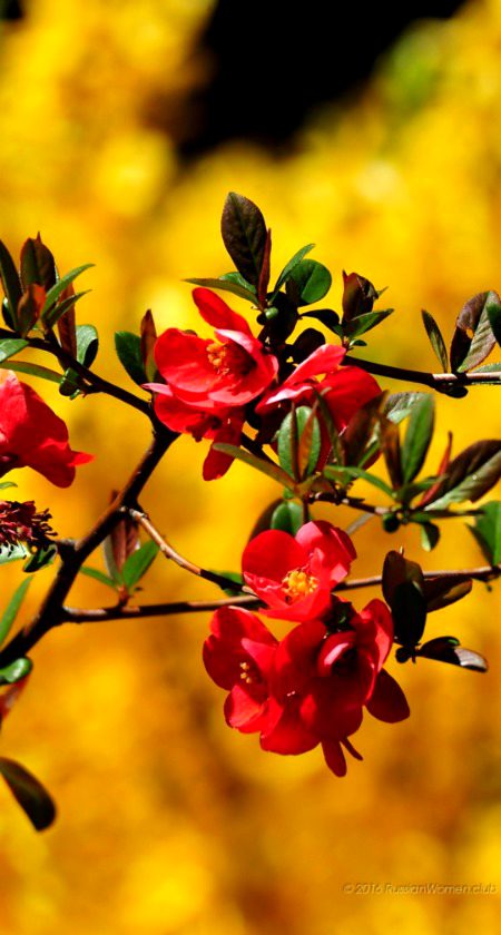 Beautiful Nature image