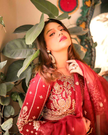 Pakistani Celebs image