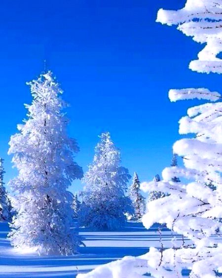 Beautiful nature