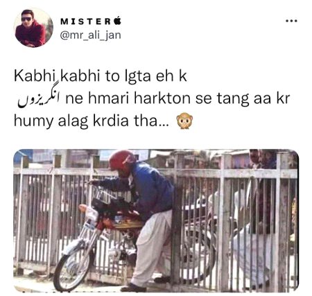 Memes & Satire image