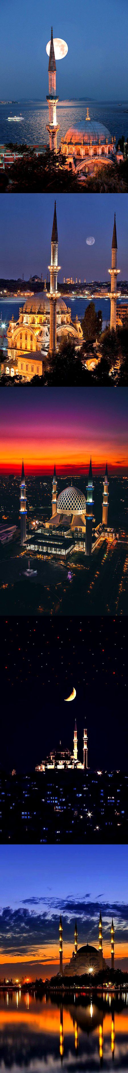 Beautiful Structures image