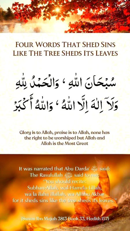 Islamic Quotes image