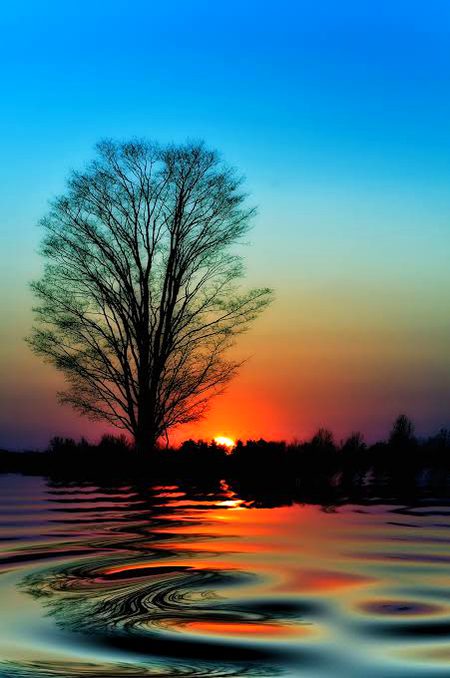 Beautiful Nature image