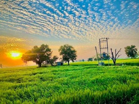Beautiful Nature image
