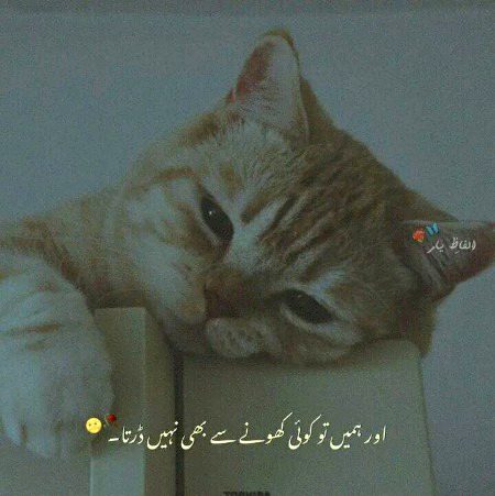 Sad Poetry image