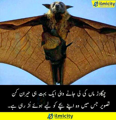 Interesting Posts image