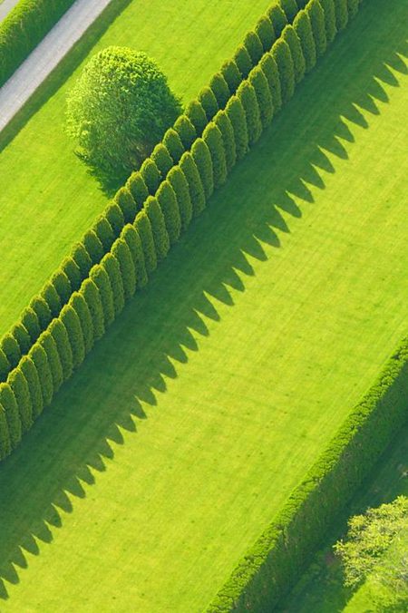 Beautiful Nature image