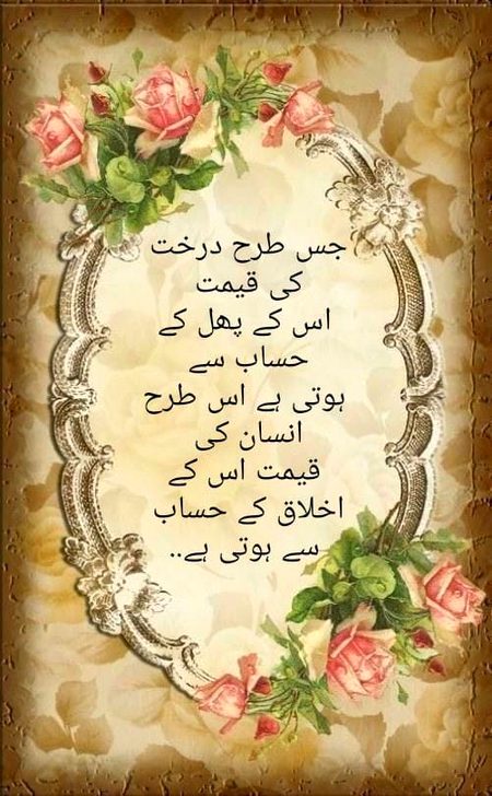 No Caption 🌺🌺