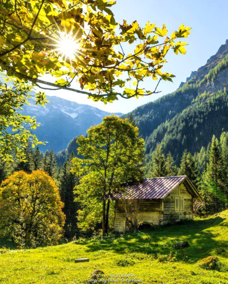 Beautiful Nature image