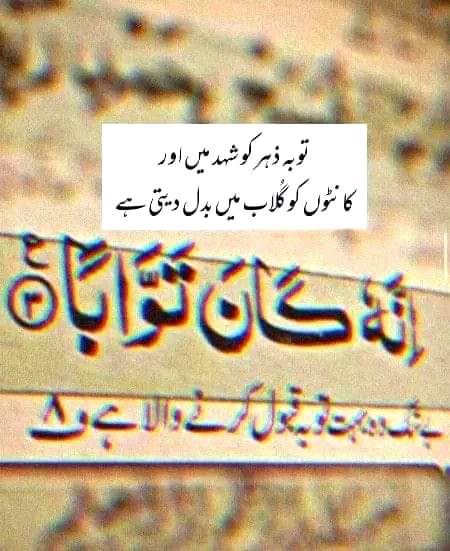 Islamic Quotes image