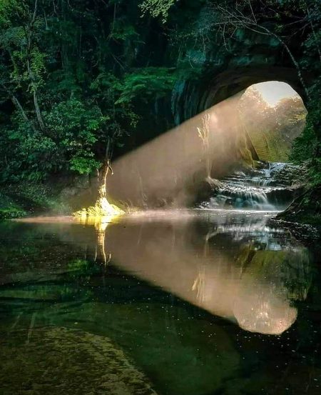 Beautiful Nature image