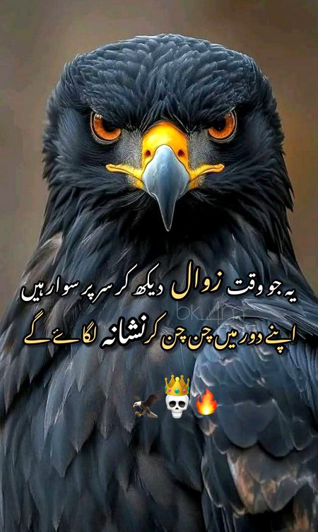 Attitude Poetry image