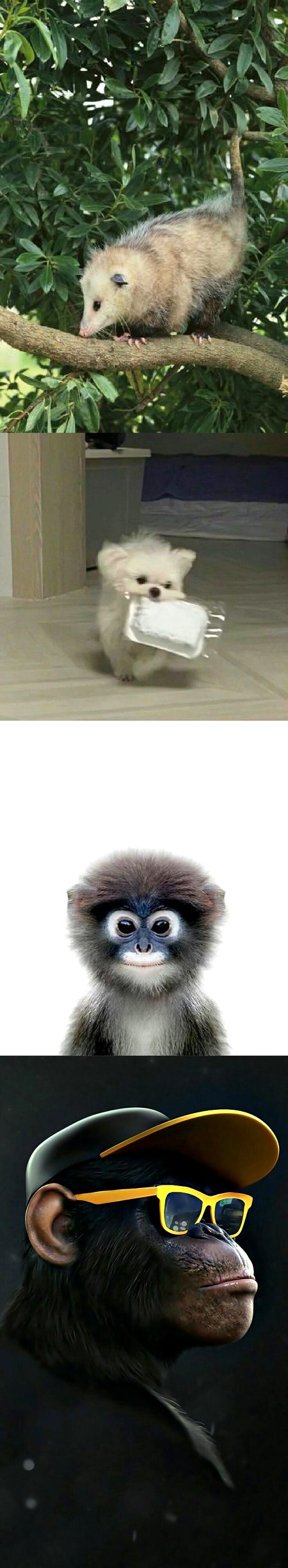 Beautiful Nature image