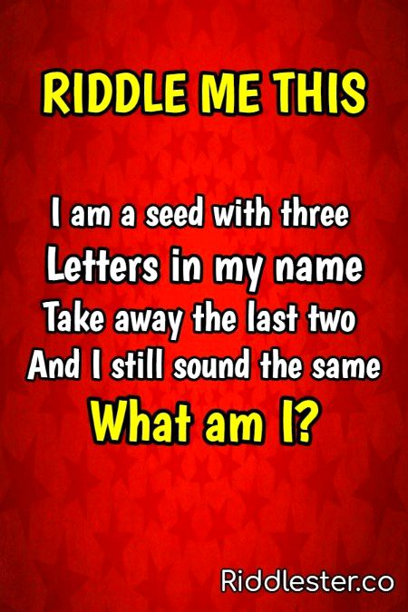 Riddles & Puzzles image