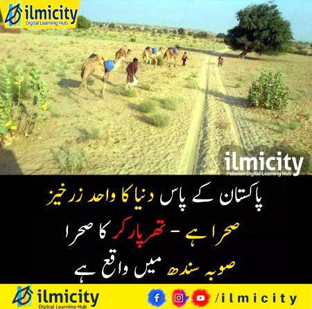 Interesting Posts image