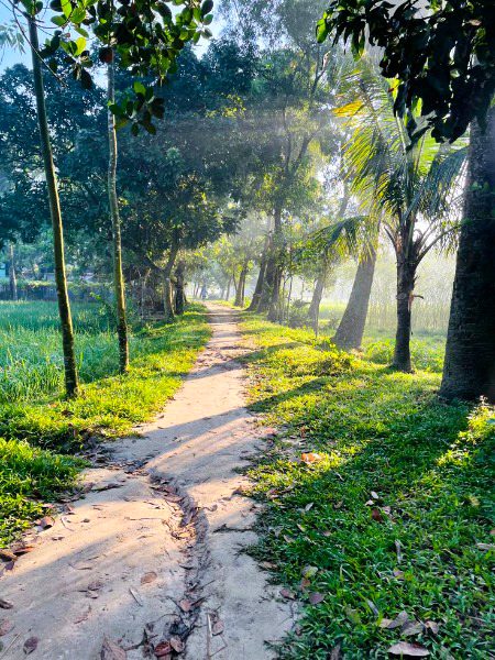 Beautiful Nature image