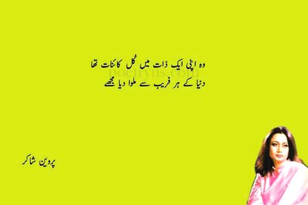 وہ اپنی ایک ذات سے ہی سب فریب سے ملوا گیا مجھے 💔💔