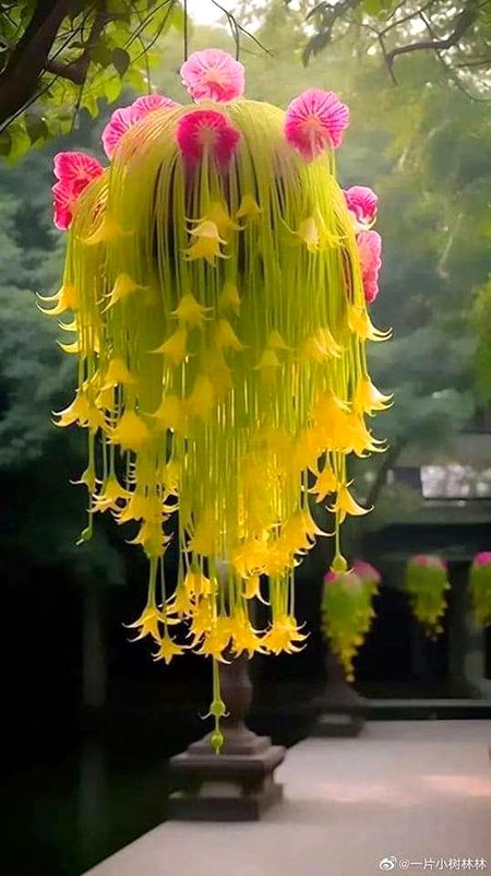 Beautiful Nature image