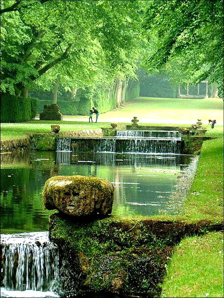 Beautiful Nature image