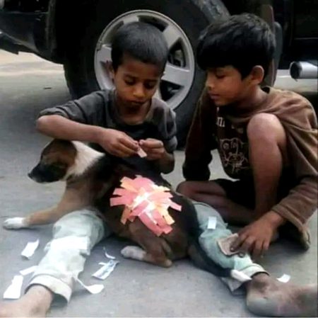 جن کے دامن میں کچھ نہیں ہوتا ۔۔۔؟؟؟
ان کے سینوں میں پیار دیکھا ہے ۔۔۔!!!!