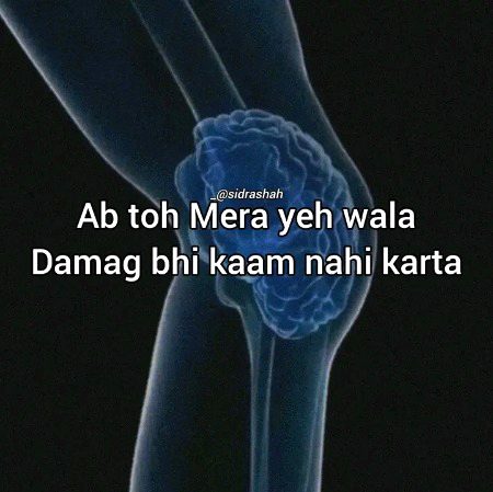 Memes & Satire image