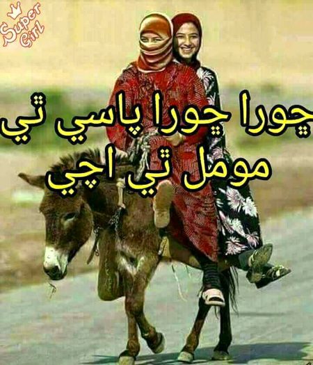 Memes & Satire image